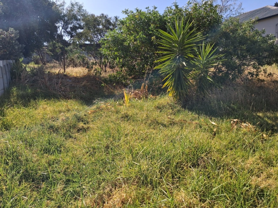 0 Bedroom Property for Sale in Bot River Avenues Western Cape